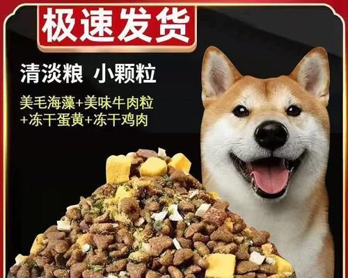 大型成年犬的合适狗粮选择（为您的大型成年犬提供健康饮食的重要指南）