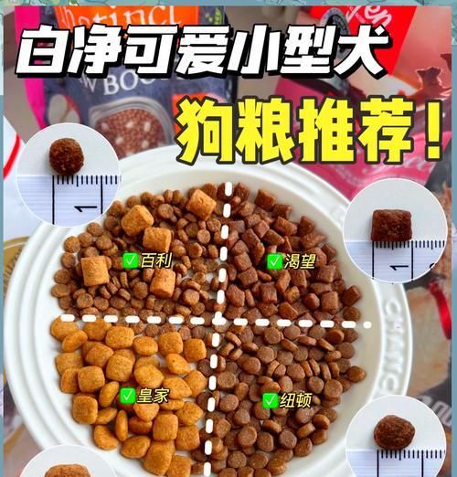 大型成年犬的合适狗粮选择（为您的大型成年犬提供健康饮食的重要指南）