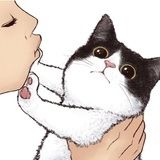 猫猫侠