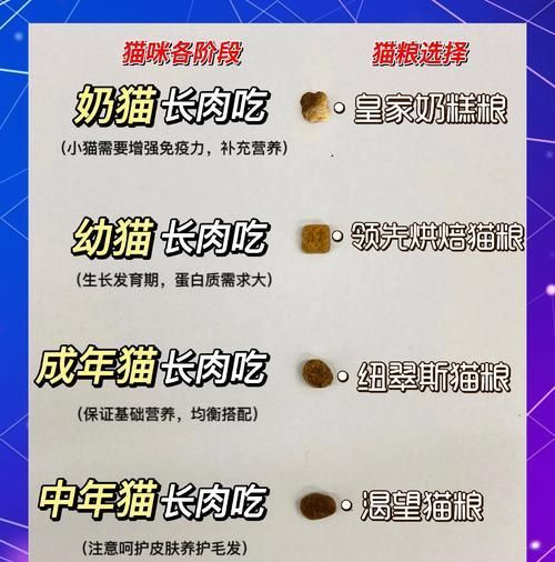 如何为自己的猫咪挑选合适的猫粮？选择猫粮时应考虑哪些因素？