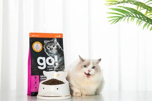 为爱宠挑选健康猫粮,月龄适宜是关键。