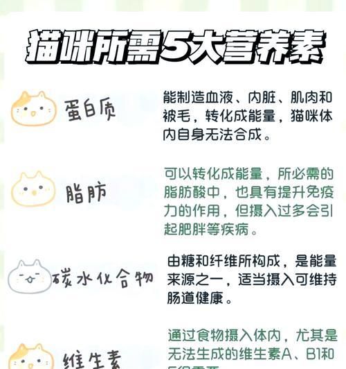 如何为猫咪挑选合适的猫粮？选购标准是什么？
