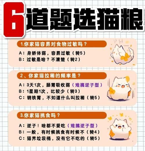 三岁猫咪怎么挑猫粮呢？有哪些挑选建议？