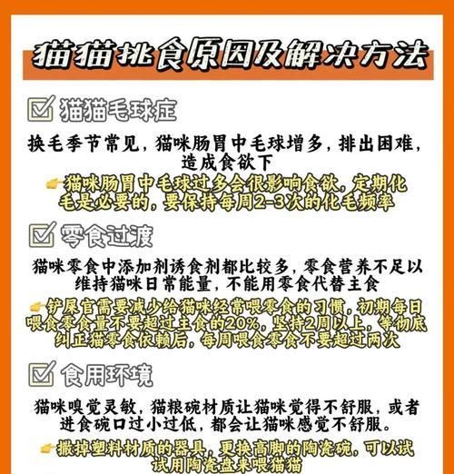 菜市场猫粮挑选指南：注意哪些要点才能选到好猫粮？