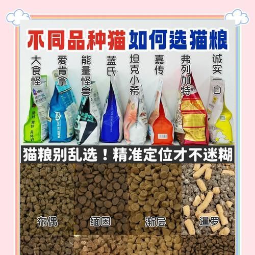 猫咪培育中如何挑选合适的猫粮？有哪些标准？