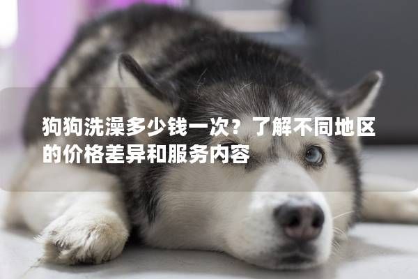 狗狗洗澡多少钱一次?了解不同地区的价格差异和服务内容