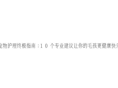 宠物护理终极指南：10个专业建议让你的毛孩更健康快乐