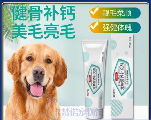 如何让你的宠物狗拥有健康的肠胃（15种简单方法让你的狗狗舒服不胀气）