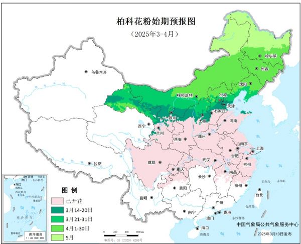 上海即将进入高发期！暴击预警，出现这些症状要小心