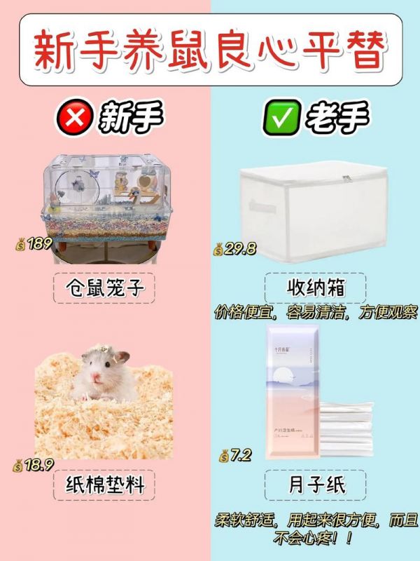 仓鼠平台上放什么_仓鼠用什么装比较好