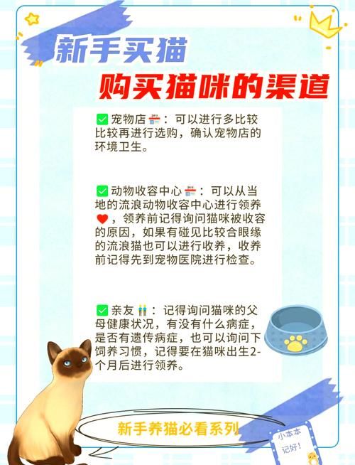 宠物猫交易平台_最正规的宠物猫交易网站_宠物猫交易网站