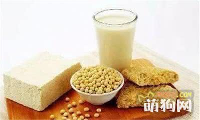 专治挑食汪 狗狗营养配餐怎么做？