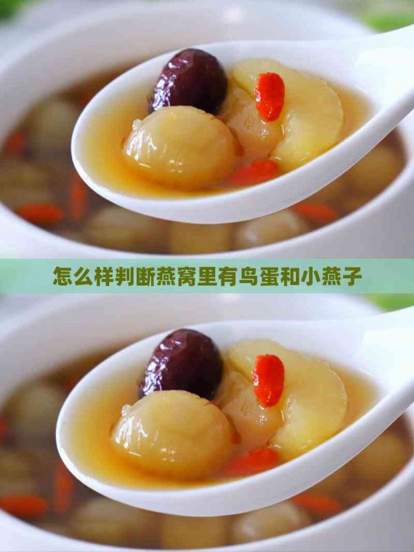 怎么样判断燕窝里有鸟蛋和小燕子