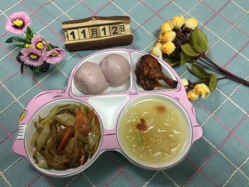 50天幼犬营养食谱指南