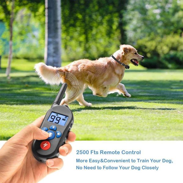 dog training collar (2)