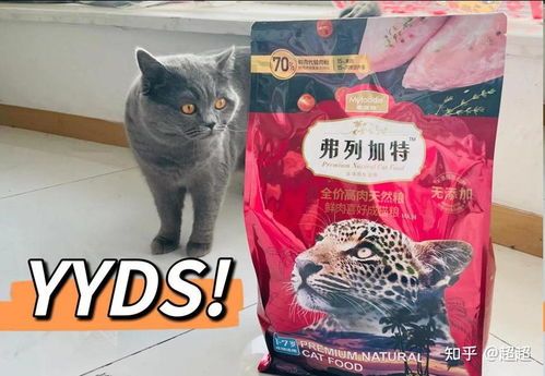 猫咪减肥专用猫粮