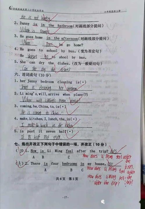 猫咪绝育,为何能提升其生活质量?