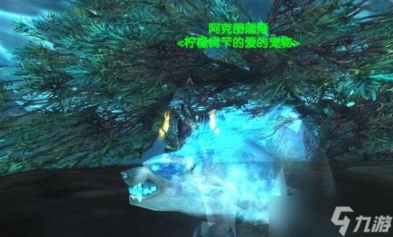 《魔兽世界》诺森德猎人稀有宠物一览