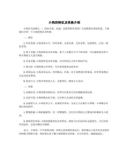 小狗的特征及性格介绍