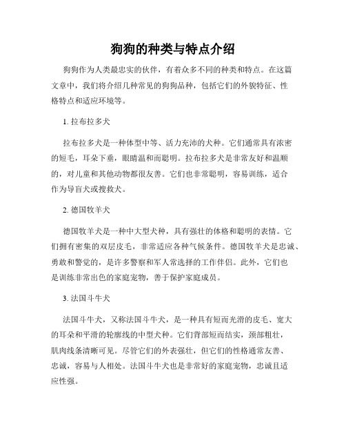 狗狗的种类与特点介绍