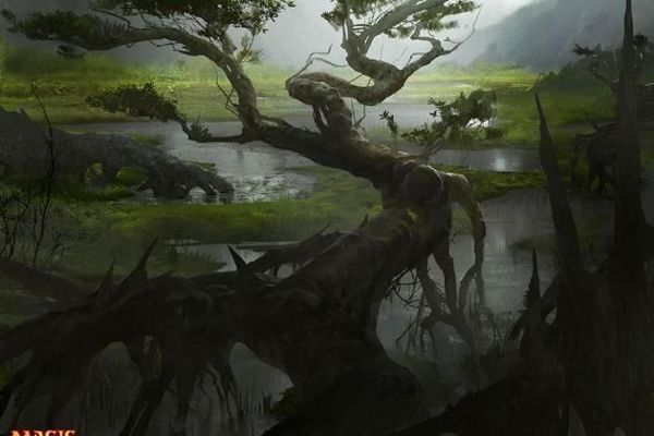 宠物医院排行榜揭秘：如何选择最佳的宠物医疗服务 - 4188云顶
