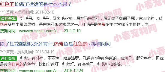 红色的热带鱼有什么品种
