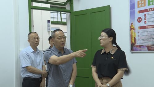 宠物狗怀孕,安全堕胎方法指南