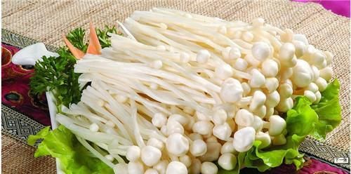 怀孕的宠物应该吃什么？（宠物孕妇饮食指南）