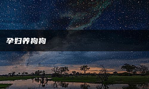 孕妇养狗狗