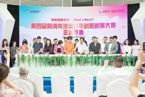 宠物参赛,报名→筛选→训练→比赛→颁奖。