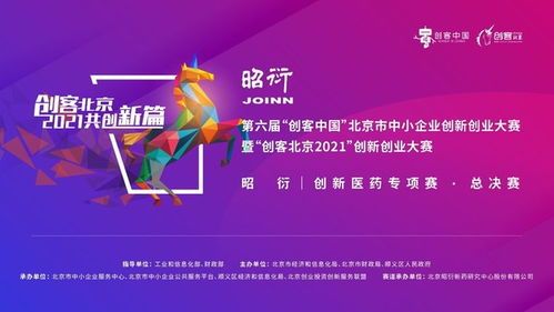宠物参赛,报名→筛选→训练→比赛→颁奖。