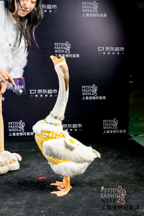 图片 10.png