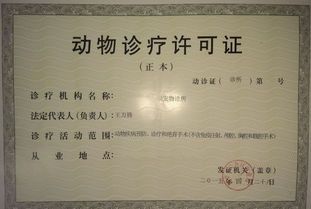 “宠物饲料许可证,鱼食生产必备指南”