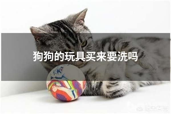 狗狗的玩具买来要洗吗