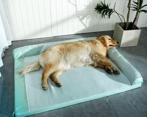 如何彻底清洗你的爱犬的窝（宠物养护）