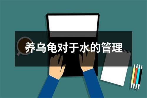 养乌龟对于水的管理