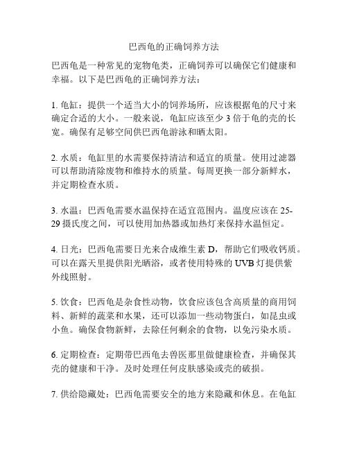 巴西龟的正确饲养方法