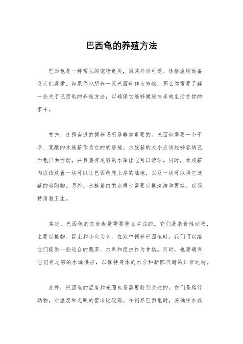 巴西龟的养殖方法