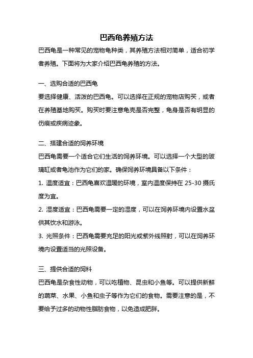 巴西龟养殖方法