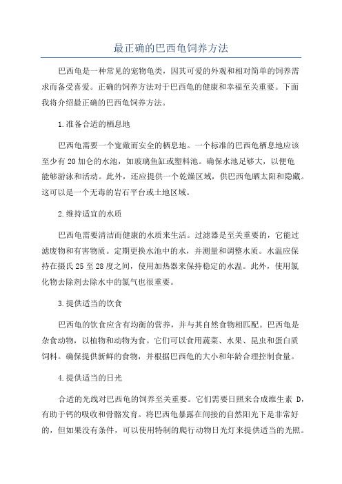 最正确的巴西龟饲养方法
