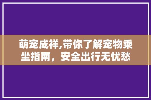 萌宠成祥,带你了解宠物乘坐指南，安全出行无忧愁