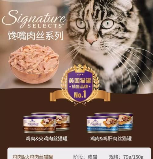 幼猫饮食指南（了解幼猫的饮食需求，打造健康的成长环境）