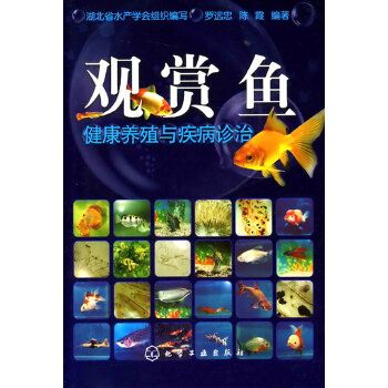 观赏鱼健康养殖与疾病诊治