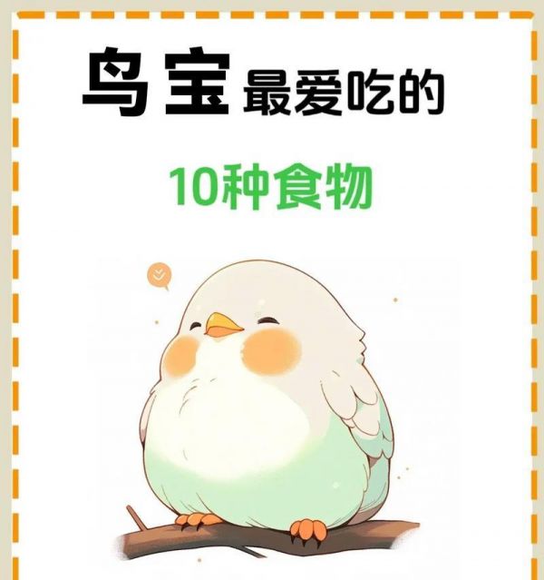 哪些鸟类喜欢吃猫粮和鱼类？如何喂食？