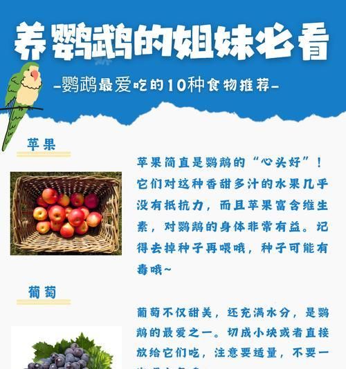 哪些鸟类喜欢吃猫粮和鱼类？如何喂食？