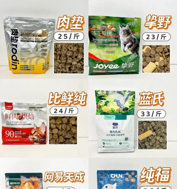 猫癣发作时哪种猫粮能快速恢复？猫癣发作吃什么猫粮效果好？