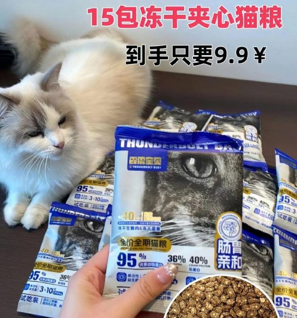 猫癣发作时哪种猫粮能快速恢复？猫癣发作吃什么猫粮效果好？