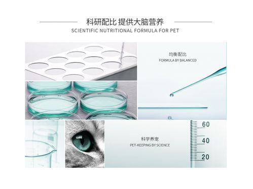 科学配比,宠物营养更均衡。