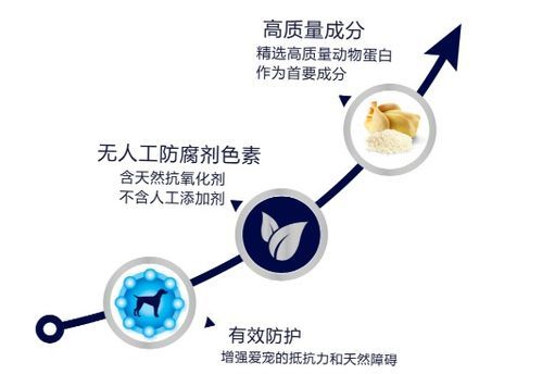 科学配比,宠物营养更均衡。