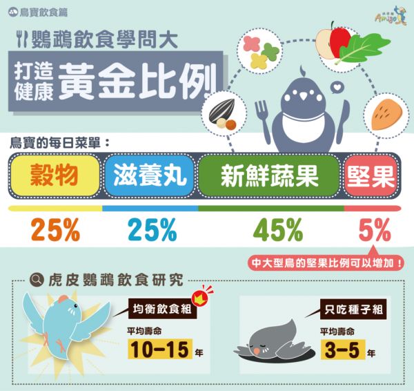 图片[1]-如何为鹦鹉进行营养搭配？ - 鹦鹉网-鹦鹉网